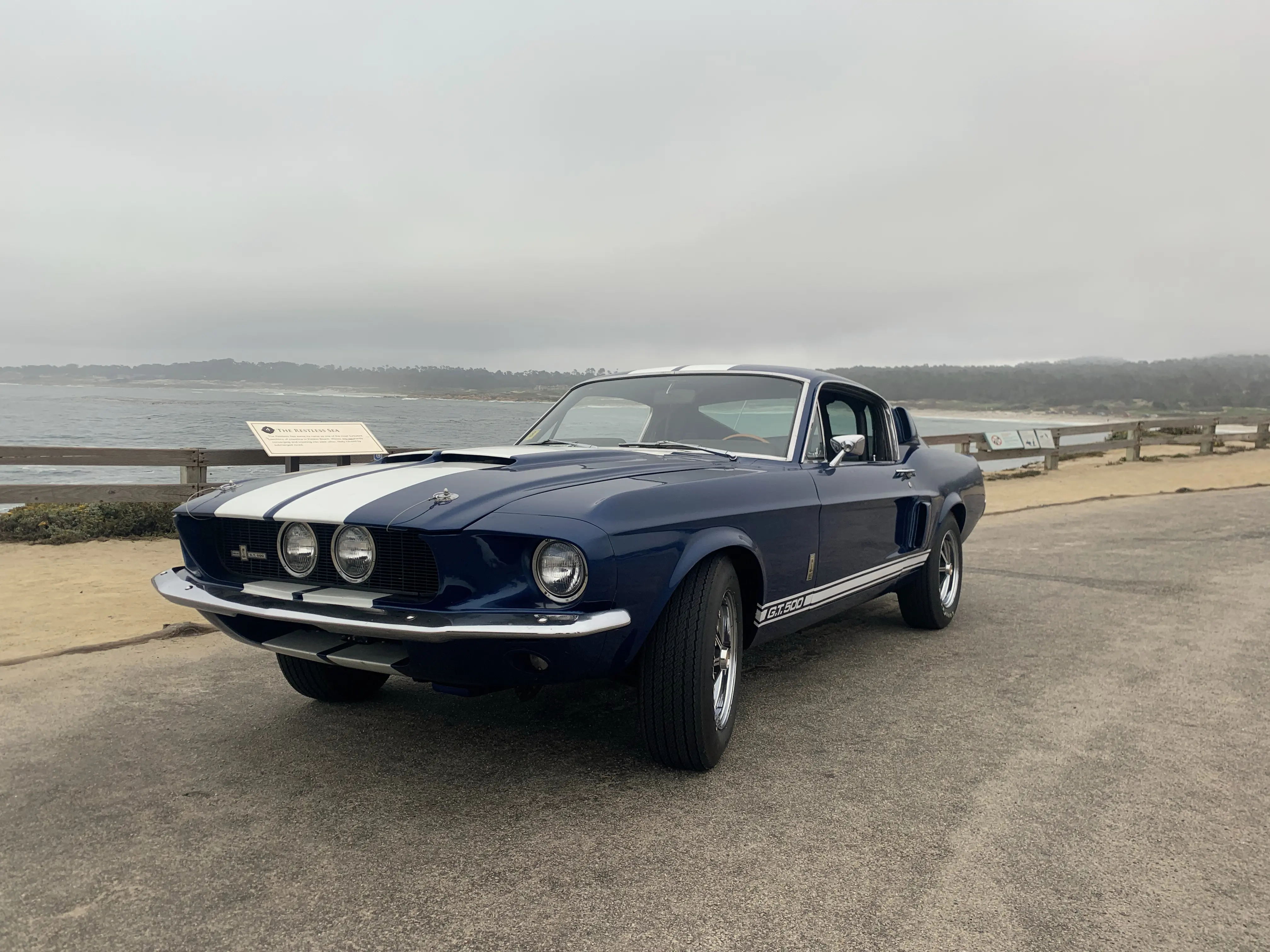 1967 Shelby GT500